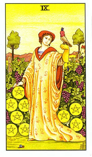 One Card Tarot: The Nine of Pentacles Meaning